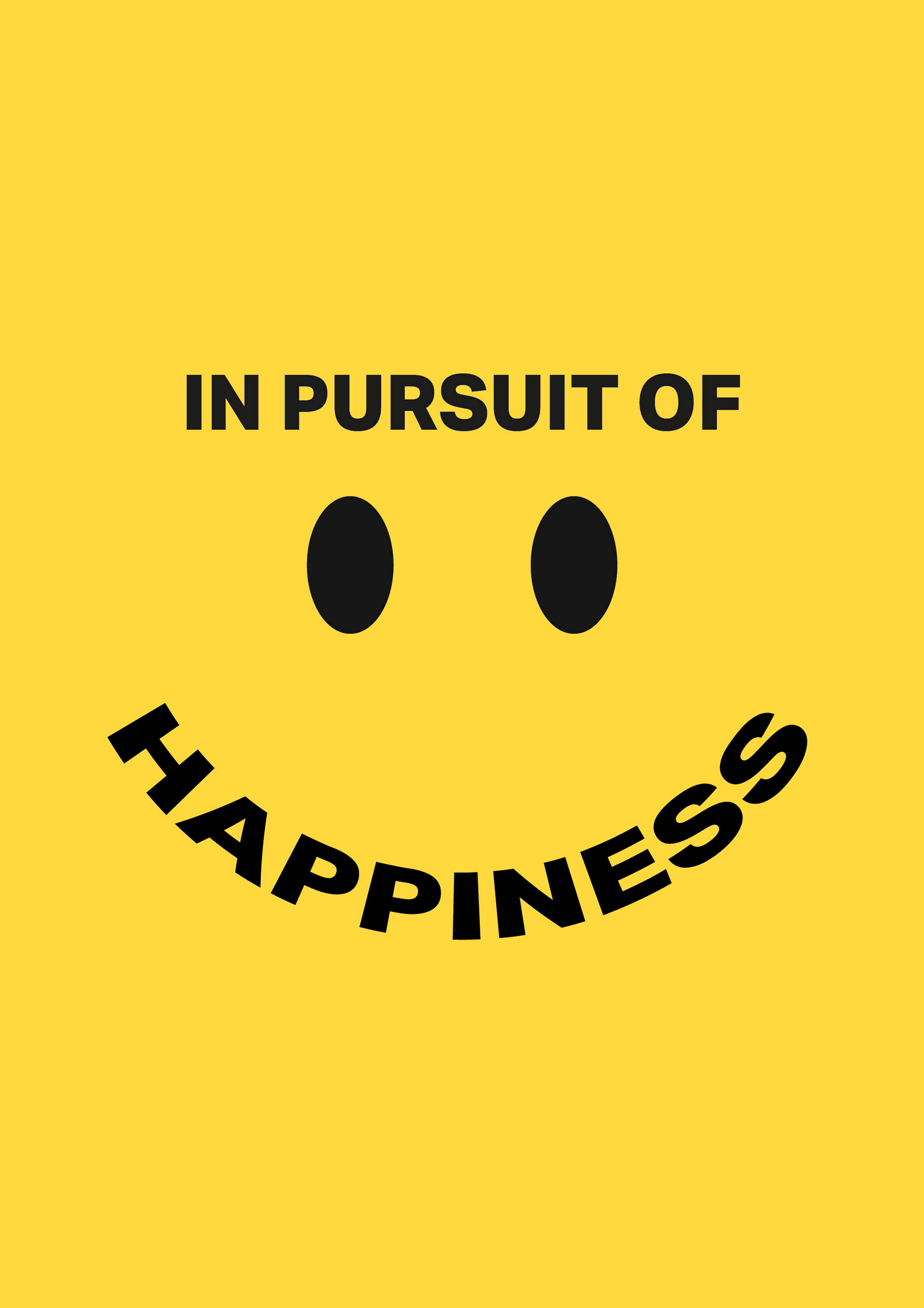 In Pursuit of Happiness Final Image