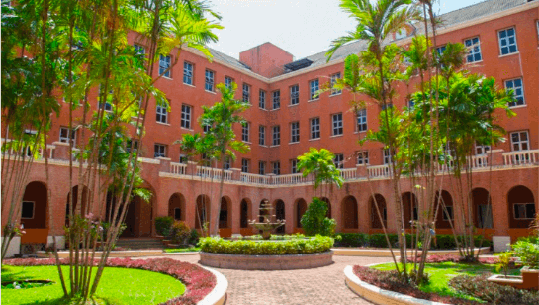 News Detail 2 - News Detail 2