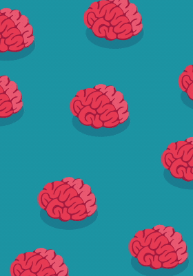 Secondary Page - Main Gallery