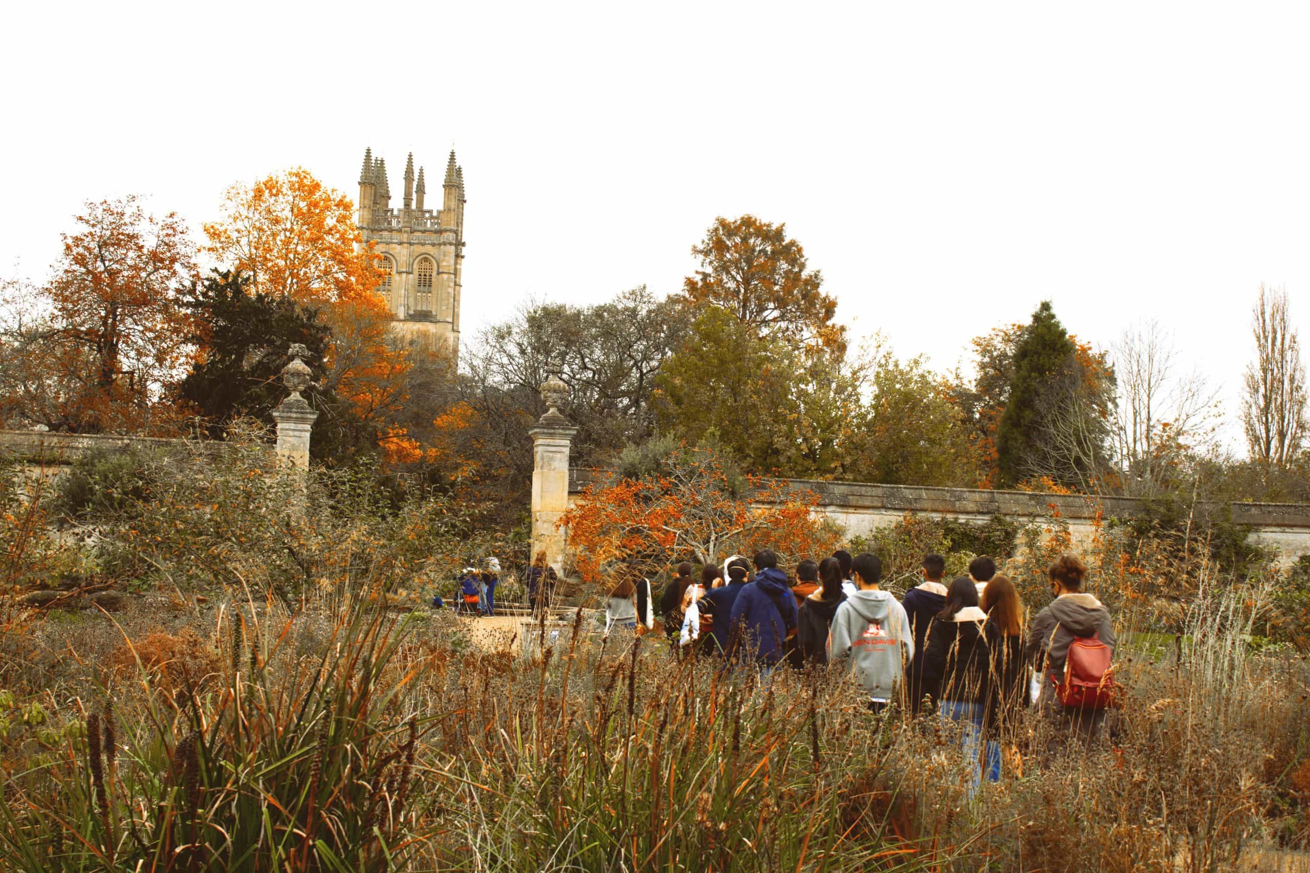 181fc578-e6d6-40d8-8e9c-c6cd9d5e6d5e-scaled