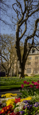 Top university destinations - Feature Cards - OIC